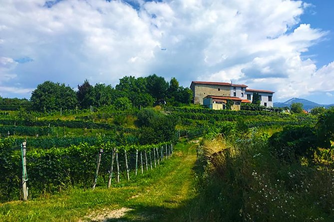 Mountain Bike tour in Spina Verde natural park - Exploring the Trails of Spina Verde Natural Park
