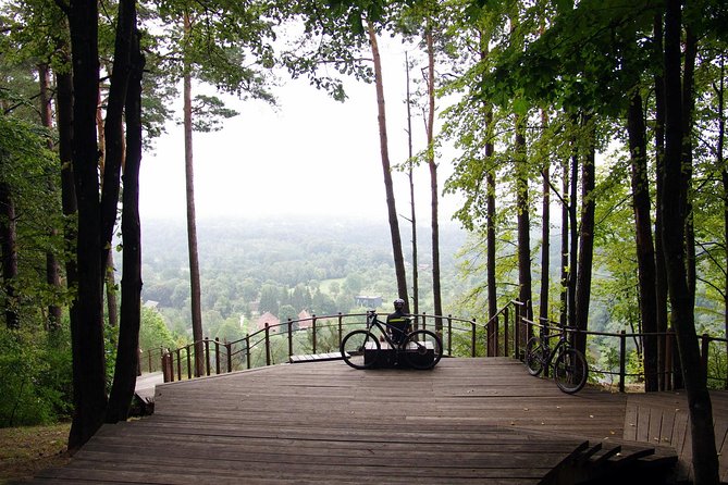 Mountain Bike Tour to Pavilniai Regional Park - Exploring Pavilniai Regional Park’s Unique Features