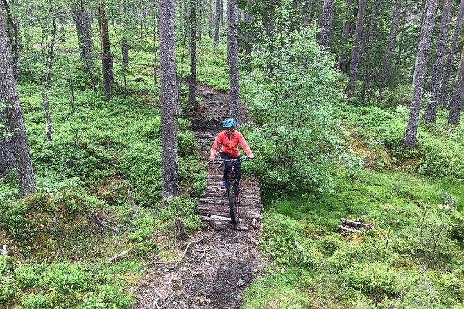 Mountain Bike - Voss Storålsen - Scenic Forest Trails with Technical Features in Voss