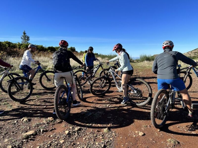 MOUNTAIN BIKING, CROSS COUNTRY HALF DAY + - Real Feedback on the Trail and Guide Experience