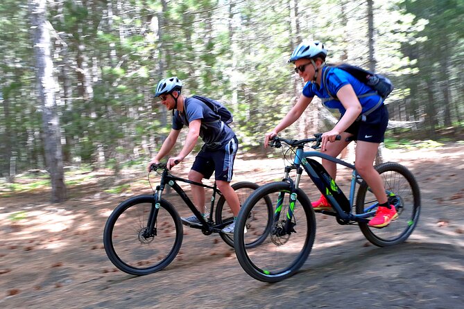 Mountain Biking Etna by MTB or E-Bike - The Trail Route and Scenic Highlights