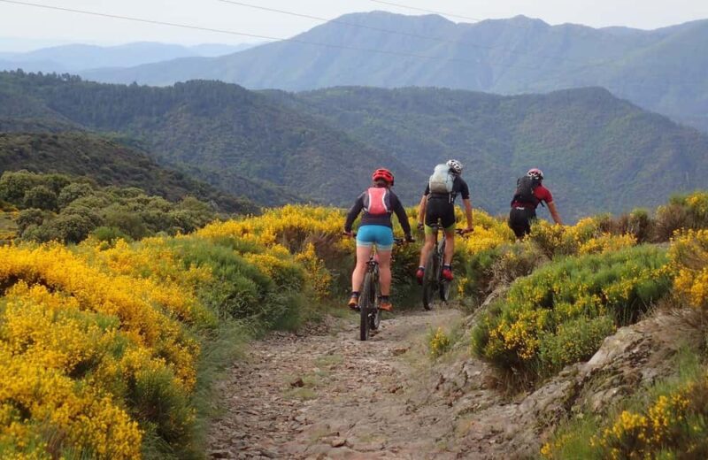 Mountain biking & kayaking in the Cévennes d'Ardèche - Adventure with a guide - Key Points