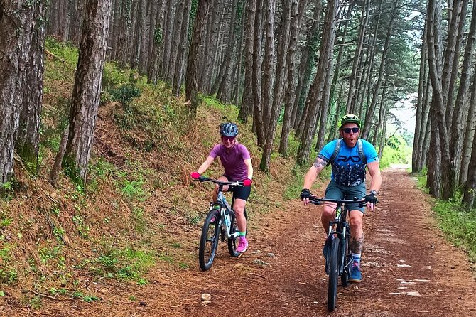 Mountain Biking on Vrmac peninsula - Panoramic view on Kotor bay - Key Points