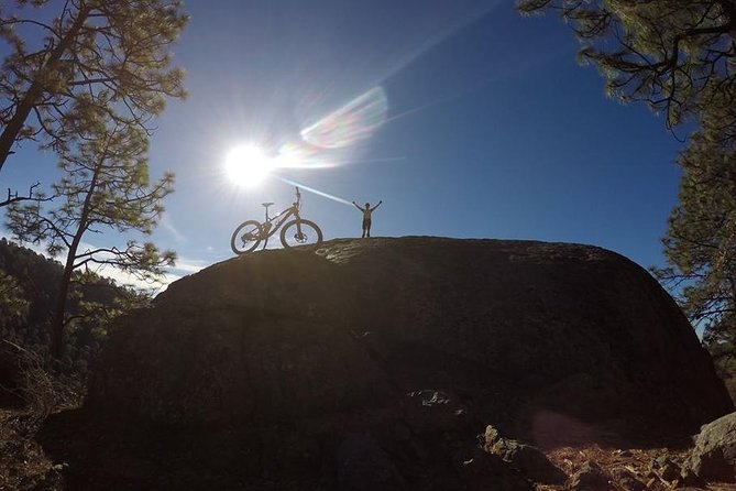 Mountain Biking Tour at La Primavera Forest - Explore La Primavera Forest on a Mountain Bike Adventure for $66.67