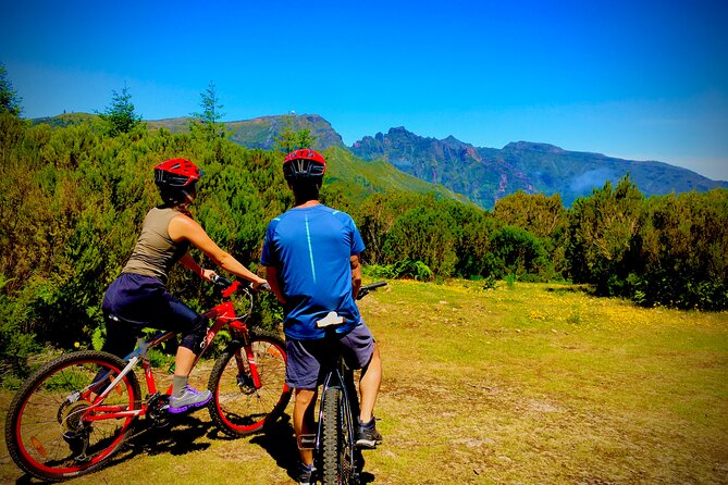 Mountain Biking Tour - Beginner Easy - Exploring Madeira’s Mountain Trails on a Beginner Level