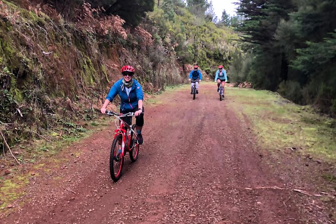 Mountain Biking Tour - Beginner Easy - Practical Logistics: Meeting Points and Group Size