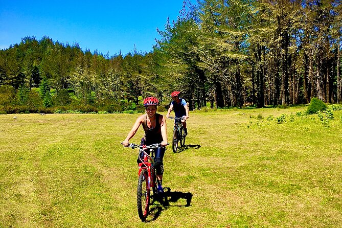 Mountain Biking Tour - Beginner Easy - Physical Requirements and Safety