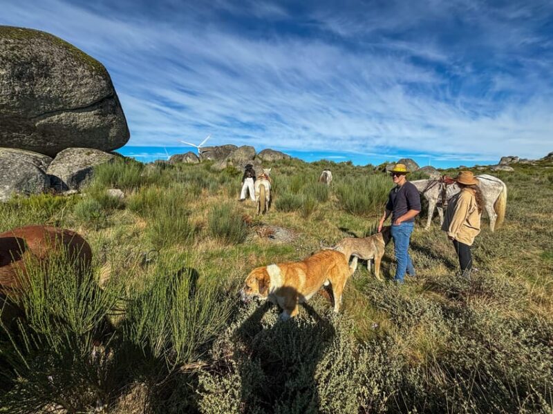 Mountain Horseback Ride, Lunch, Wine Tasting - Key Points