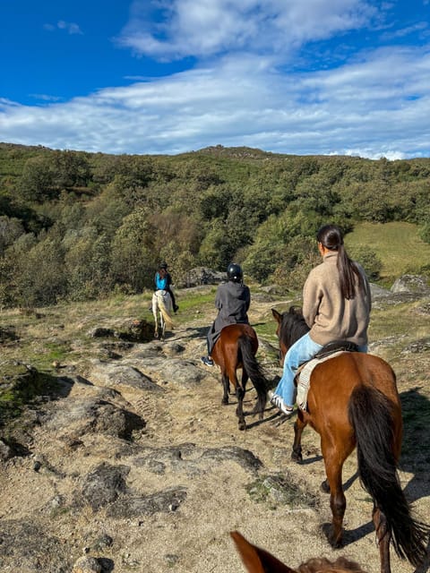 Mountain Horseback Ride, Lunch, Wine Tasting - Experience the Authentic Douro Valley on Horseback