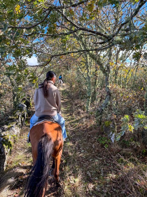 Mountain Horseback Ride, Lunch, Wine Tasting - Exclusive Wine Tasting at a Renowned Douro Vineyard