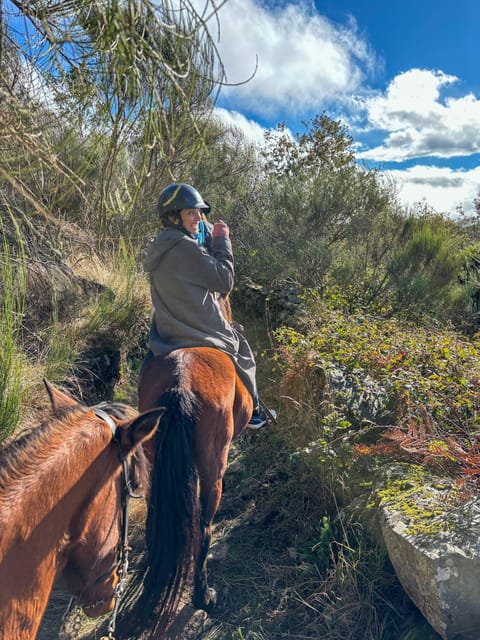 Mountain Horseback Ride, Lunch, Wine Tasting - Suitable for All Seasons and Activity Levels