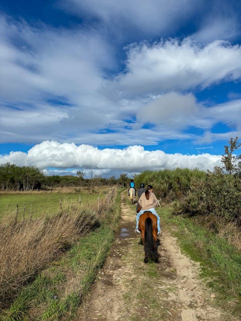 Mountain Horseback Ride, Lunch, Wine Tasting - Final Thoughts on the Douro Valley Horseback Ride