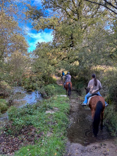 Mountain Horseback Ride, Lunch, Wine Tasting - Frequently Asked Questions