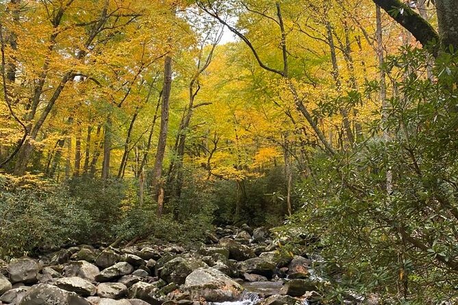 Mountaineer's Way Hike in the Smokies - The Guided Experience with Wes: A Locals Perspective