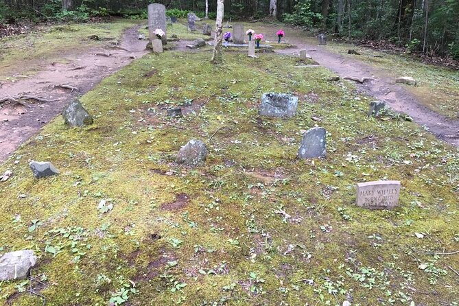 Mountaineer's Way Hike in the Smokies - How This Tour Compares to Other Gatlinburg Experiences