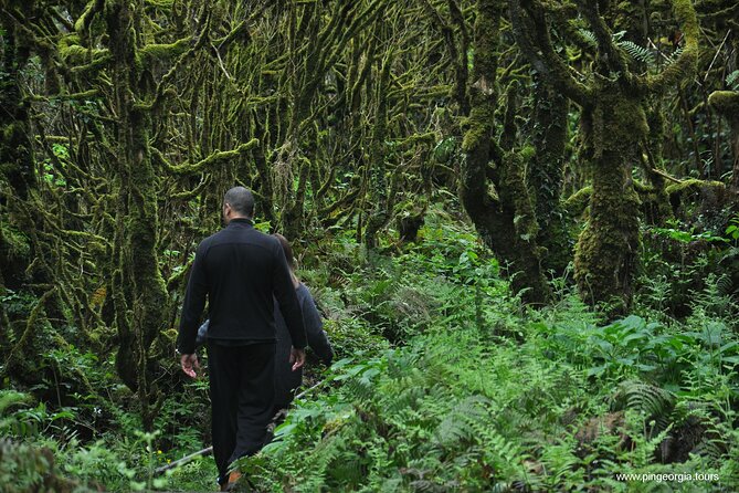 Mountains of Adjara Private Wine Tour from Batumi - Visiting Gonio and the Roman Fortress