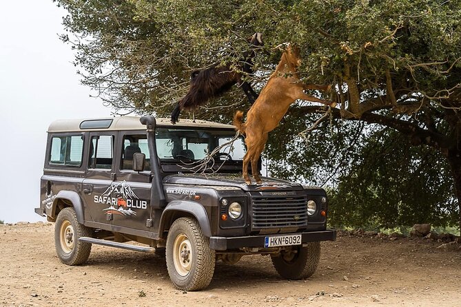 Mountains of Crete 4x4 Tour with Taverna Lunch - Scenic Views of the Eastern Coastline and Mountain Paths