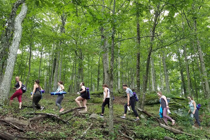 Mountaintop Yoga & Meditation Hike in Asheville - The Best Time to Book and Prepare