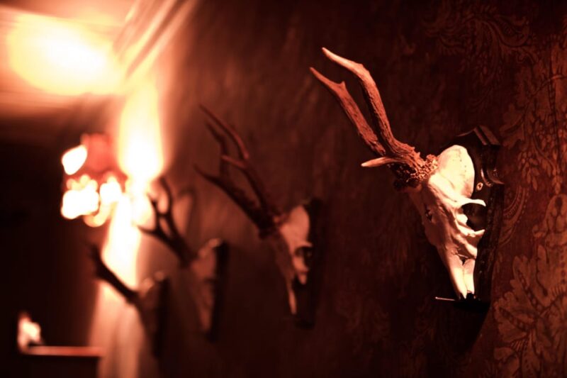 moviESCAPE Stockport Haunted House II escape room game - Discover the Haunted House II Escape Room in Stockport