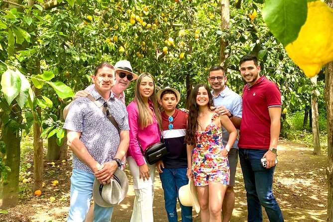 Mozzarella class & more in Sorrento - Tasting Local Products and Beverages