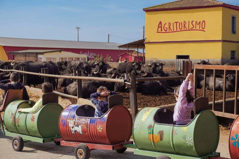 Mozzarella experience: discovering the art of cheese making - Santa Lucia Farm: The Starting Point for Authentic Cheese Experiences