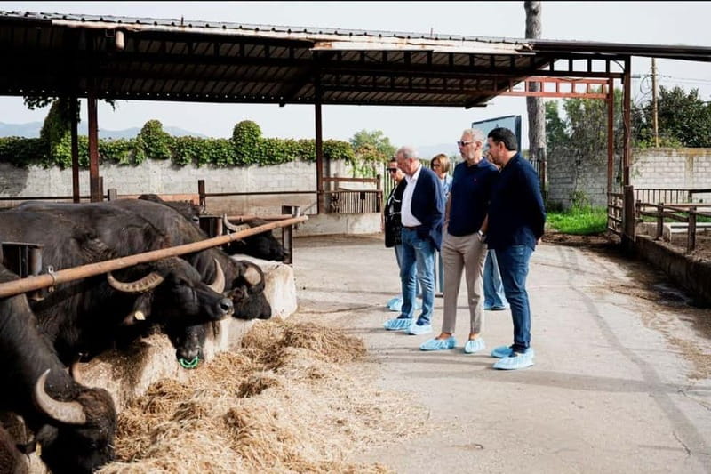 Mozzarella experience: discovering the art of cheese making - Practical Details: Meeting Points, Accessibility, and Flexibility