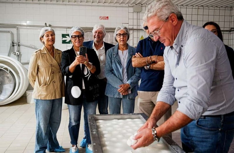 Mozzarella experience: discovering the art of cheese making - Unique Features and What Sets This Tour Apart