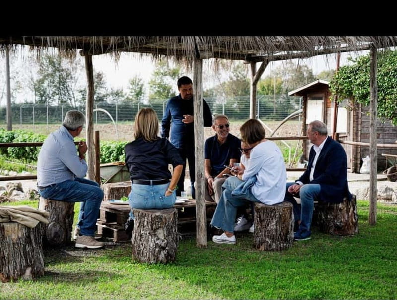 Mozzarella experience: discovering the art of cheese making - The Sum Up: Authentic Cheese Making in the Heart of Campania