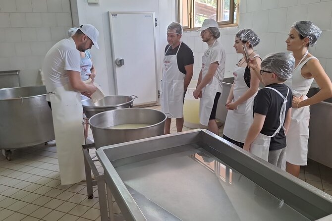 Mozzarella Experience with Tasting in Vico Equense - Who Will Enjoy This Experience?