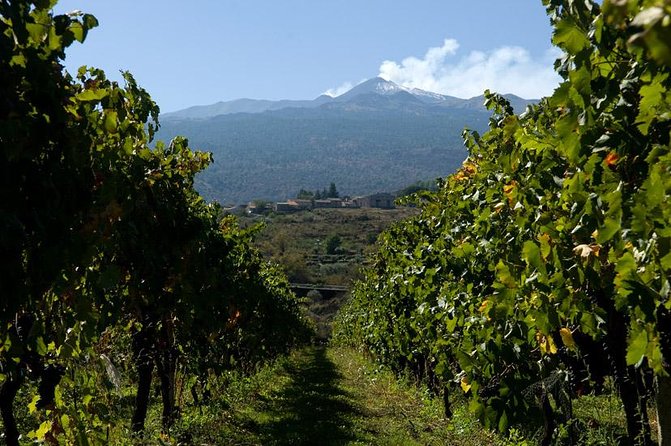 Mt Etna and Wine tasting tour from Catania - Scenic Trekking Across Etna’s Natural Paths