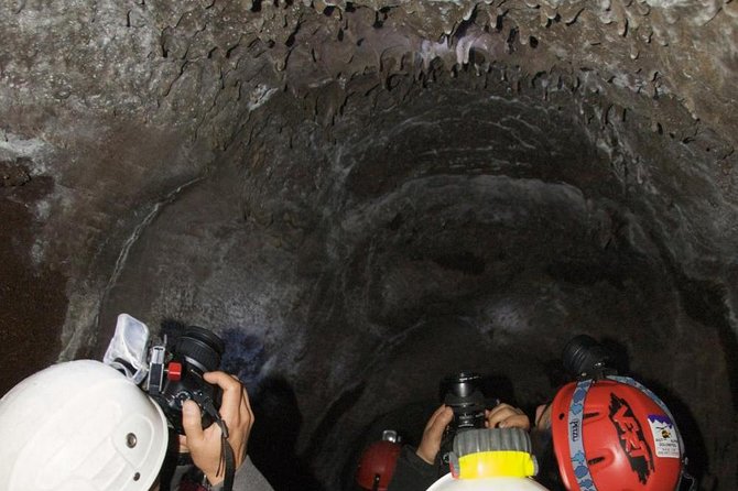 Mt. Etna nature and flavors half day Tour from Catania - Practical Logistics and Group Size