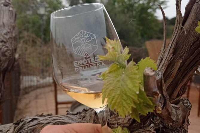 Mt. Etna trekking and Wine tasting - From Syracuse - Exploring the Etna Nature Park Near Rifugio Sapienza