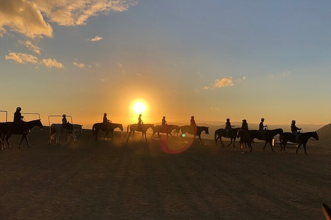 Mt. Hollywood Trail Tour on Horseback - Viewing the Hollywood Sign and Griffith Observatory