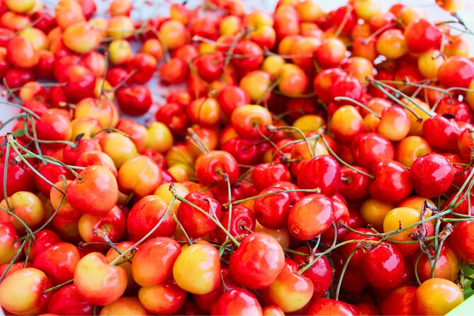 Mt Hood Day Trip from Portland to Multnomah Falls and Hood River - Rowena Crest Viewpoint: A Rocky Promontory with Wide-Open Views
