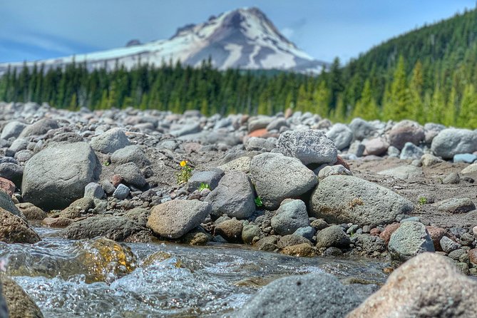 Mt Hood Day Trip from Portland to Multnomah Falls and Hood River - Who Will Enjoy This Oregon Day Trip?
