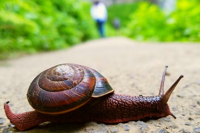Mt. Hood Loop Tour from Portland - The Expertise and Personal Touch of the Guide