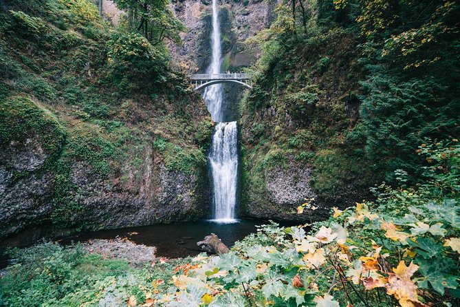 Mt Hood, Waterfalls, and Wine Tour with Tasting Fees Included - Discovering Columbia River Gorge Waterfalls and Vista Views