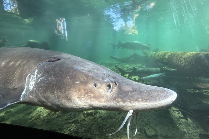 Mt Hood, Waterfalls, and Wine Tour with Tasting Fees Included - Practical Details and Tour Logistics