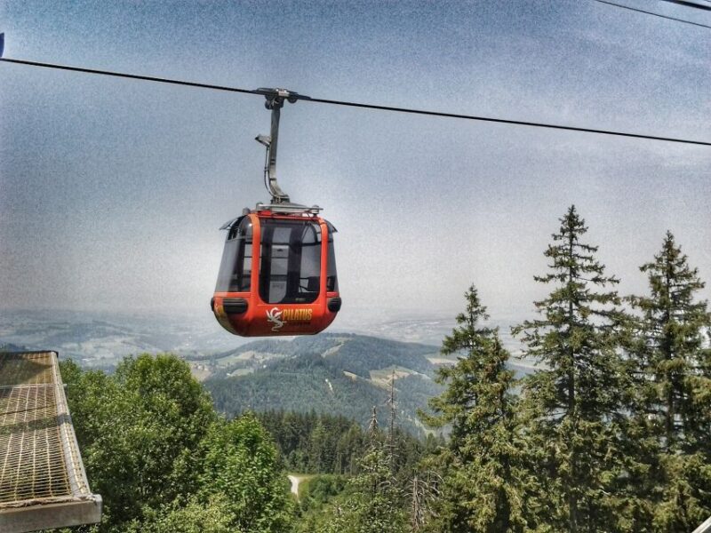 Mt. Pilatus Golden Roundtrip Private Day Trip from Basel - What’s Included and What to Consider