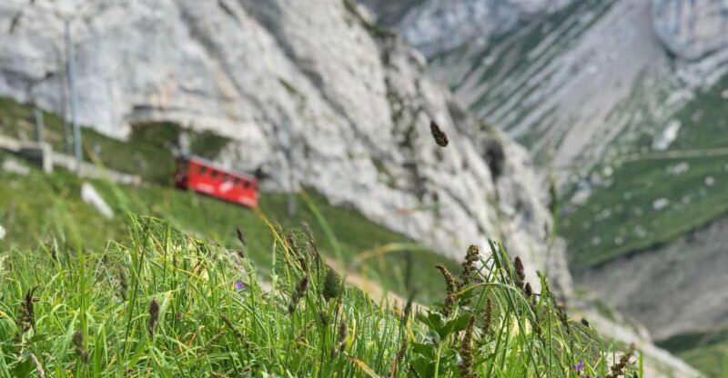 Mt. Pilatus & Lake Lucerne Private Tour | From Lucerne - Lake Lucerne: Cruising the Lake of Four Cantons