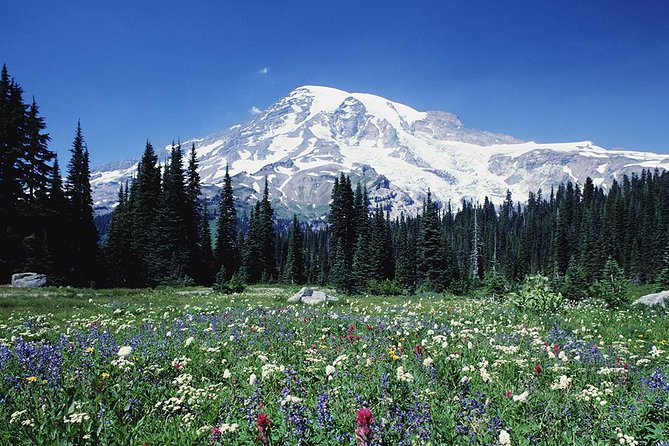 Mt. Rainier Day Tour from Seattle - Mt. Rainier National Park Entrance and Longmire Visitor Center