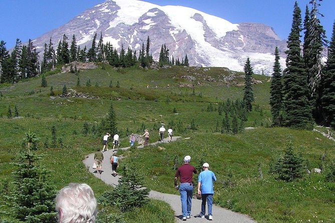 Mt. Rainier Day Tour from Seattle - Longmire: The Historic Heart of Mt. Rainier