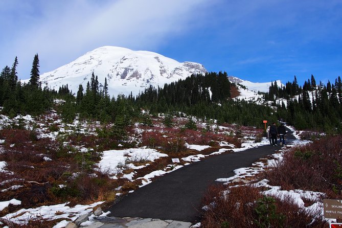 Mt. Rainier Day Tour from Seattle - Narada Falls and Photo Opportunities