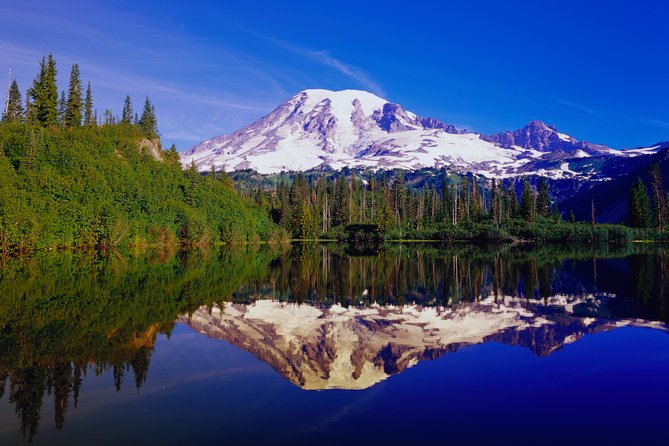 Mt. Rainier Day Tour from Seattle - The Guided Experience: Knowledgeable and Responsive Guides