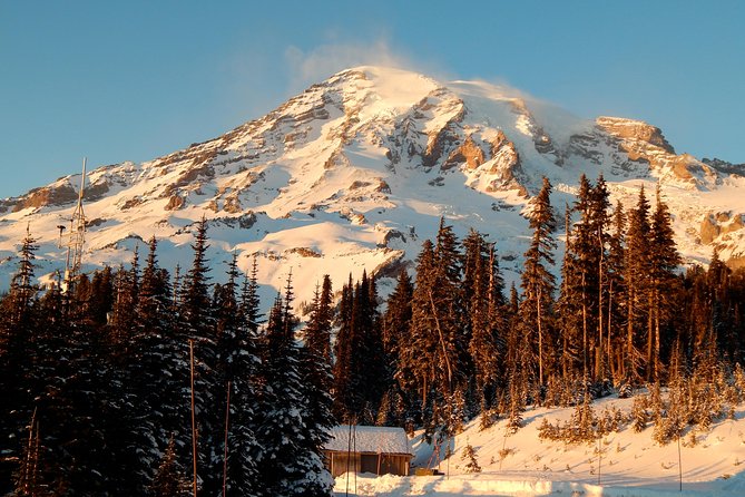 Mt. Rainier National Park Day Tour from Seattle - Explore Majestic Mount Rainier on a Full-Day Guided Tour from Seattle