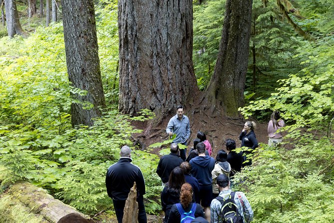 Mt. Rainier National Park Day Tour from Seattle - Waterfalls and Iconic Viewpoints: Christine and Narada Falls