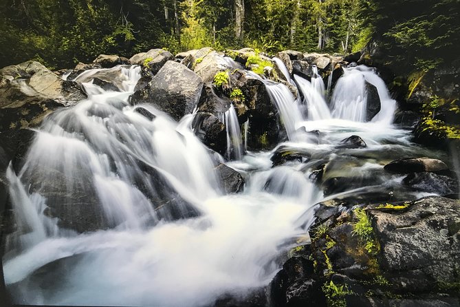 Mt. Rainier National Park Day Tour from Seattle - Seasonal Variations: Sunrise Visitor Center and Tipsoo Lake Loop