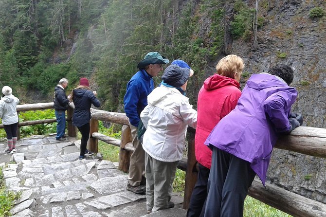 Mt Rainier Private Tour Experience in SUV - What’s on the Menu: Snacks, Water, and Practical Details