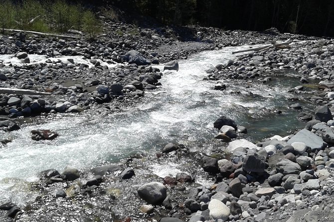 Mt Rainier Private Tour Experience in SUV - How the Itinerary Is Designed for Maximum Experience