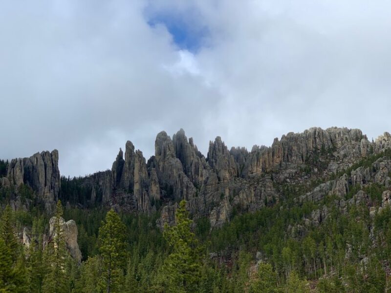 Mt Rushmore, Crazy Horse, Custer State Park Monument Tour - Exploring the Wildlife and Flora of Custer State Park